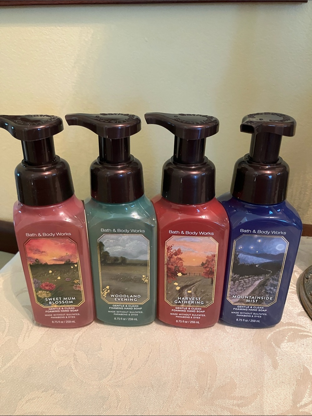 ✨Bath & Body Works foaming hand soaps bundle NWT